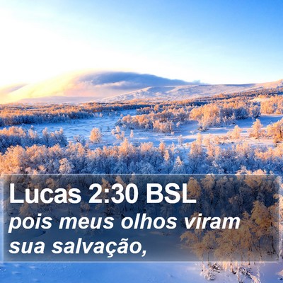 Lucas 2:30 BSL Bible Verse Image