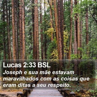 Lucas 2:33 BSL Bible Verse Image