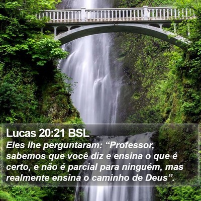 Lucas 20:21 BSL Bible Verse Image