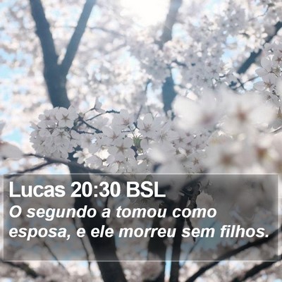 Lucas 20:30 BSL Bible Verse Image