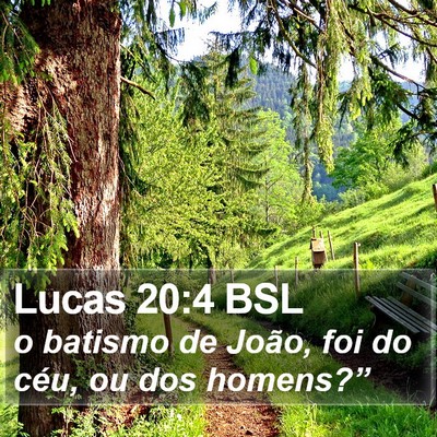Lucas 20:4 BSL Bible Verse Image