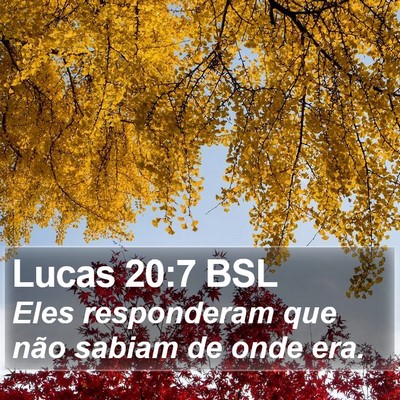 Lucas 20:7 BSL Bible Verse Image