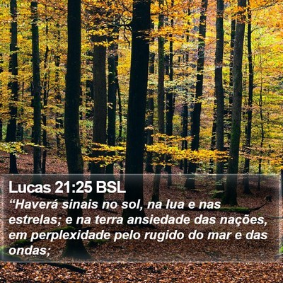 Lucas 21:25 BSL Bible Verse Image