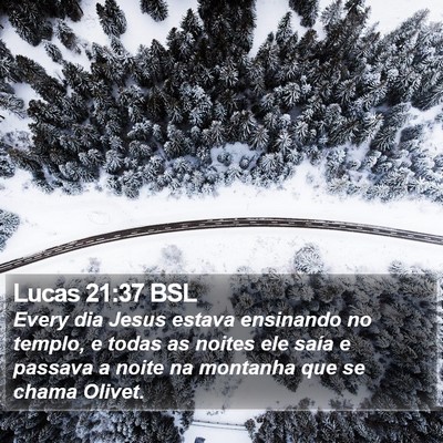 Lucas 21:37 BSL Bible Verse Image