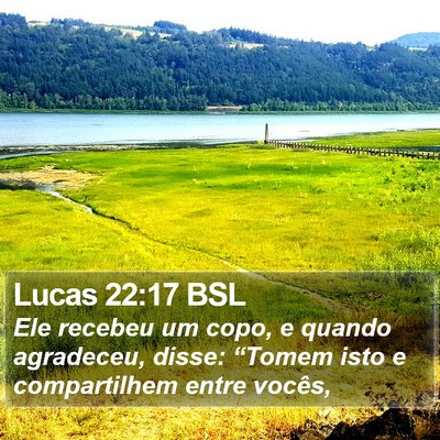 Lucas 22:17 BSL Bible Verse Image