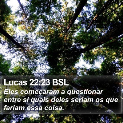 Lucas 22:23 BSL Bible Verse Image