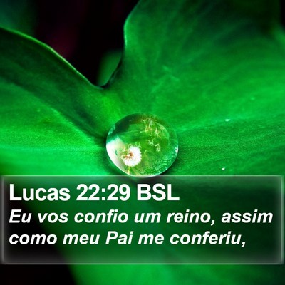 Lucas 22:29 BSL Bible Verse Image