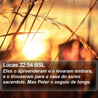 Lucas 22:54 BSL Bible Verse Image