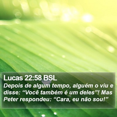 Lucas 22:58 BSL Bible Verse Image