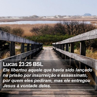 Lucas 23:25 BSL Bible Verse Image