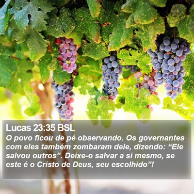 Lucas 23:35 BSL Bible Verse Image