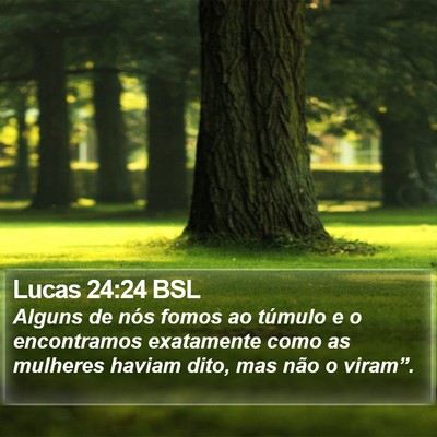 Lucas 24:24 BSL Bible Verse Image