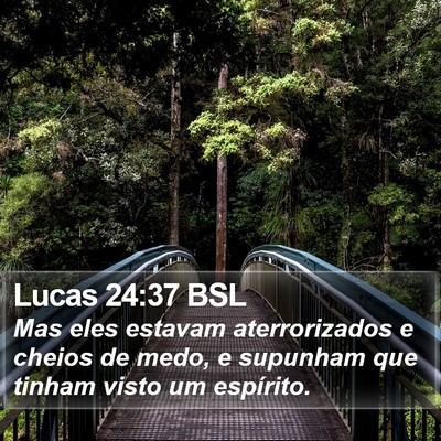 Lucas 24:37 BSL Bible Verse Image