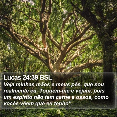 Lucas 24:39 BSL Bible Verse Image