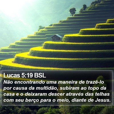 Lucas 5:19 BSL Bible Verse Image