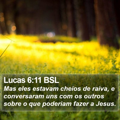 Lucas 6:11 BSL Bible Verse Image