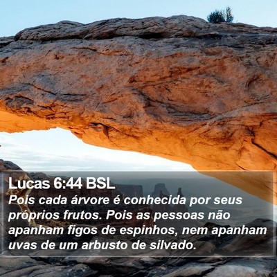 Lucas 6:44 BSL Bible Verse Image