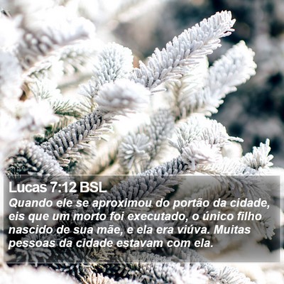 Lucas 7:12 BSL Bible Verse Image