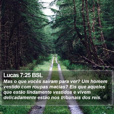 Lucas 7:25 BSL Bible Verse Image