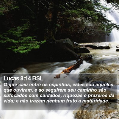 Lucas 8:14 BSL Bible Verse Image