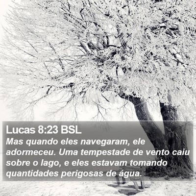 Lucas 8:23 BSL Bible Verse Image