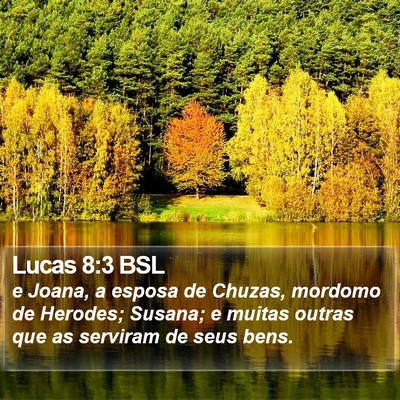 Lucas 8:3 BSL Bible Verse Image