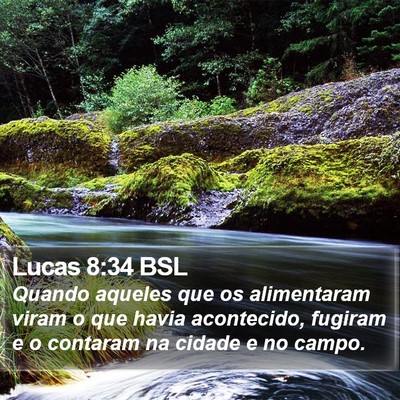 Lucas 8:34 BSL Bible Verse Image