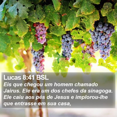 Lucas 8:41 BSL Bible Verse Image