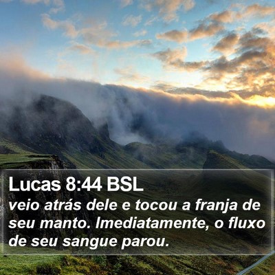 Lucas 8:44 BSL Bible Verse Image