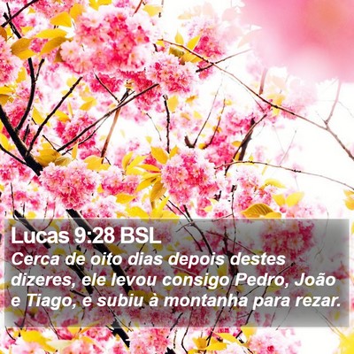 Lucas 9:28 BSL Bible Verse Image