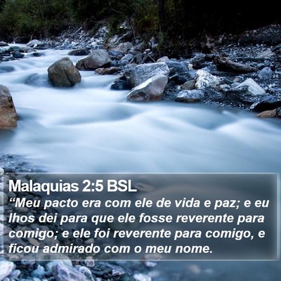 Malaquias 2:5 BSL Bible Verse Image