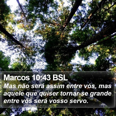 Marcos 10:43 BSL Bible Verse Image