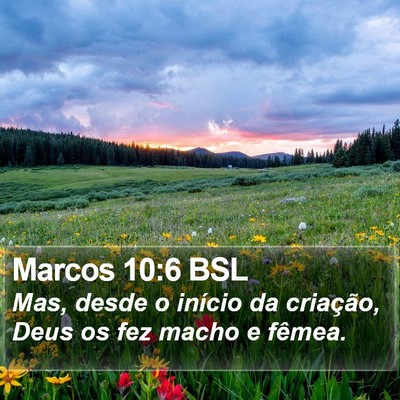 Marcos 10:6 BSL Bible Verse Image