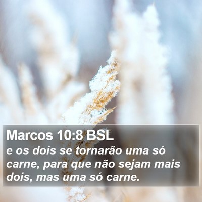 Marcos 10:8 BSL Bible Verse Image