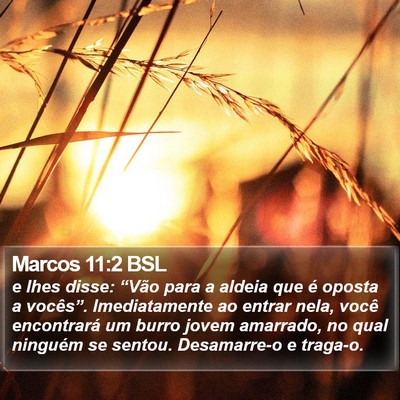 Marcos 11:2 BSL Bible Verse Image