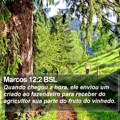 Marcos 12:2 BSL Bible Verse Image