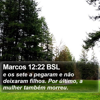 Marcos 12:22 BSL Bible Verse Image