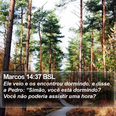 Marcos 14:37 BSL Bible Verse Image