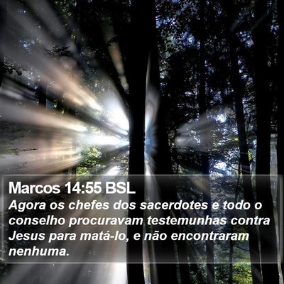 Marcos 14:55 BSL Bible Verse Image