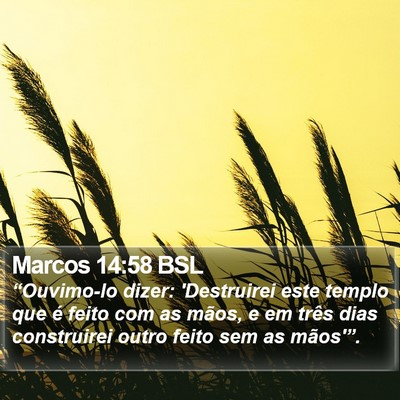 Marcos 14:58 BSL Bible Verse Image