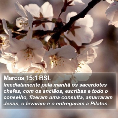 Marcos 15:1 BSL Bible Verse Image