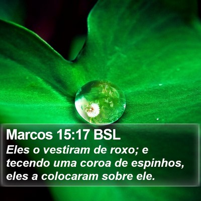 Marcos 15:17 BSL Bible Verse Image