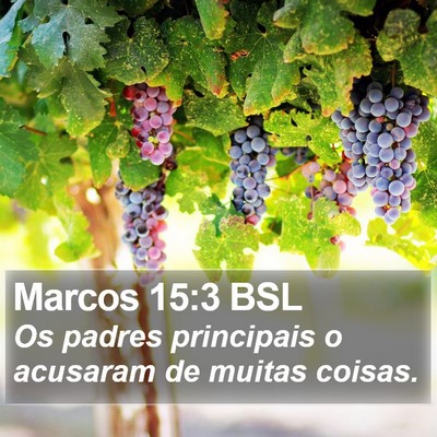 Marcos 15:3 BSL Bible Verse Image