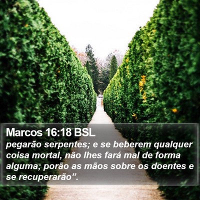 Marcos 16:18 BSL Bible Verse Image