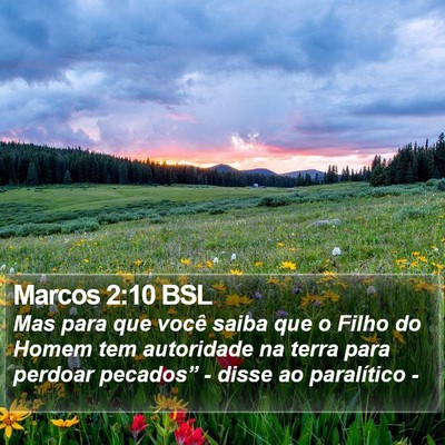 Marcos 2:10 BSL Bible Verse Image