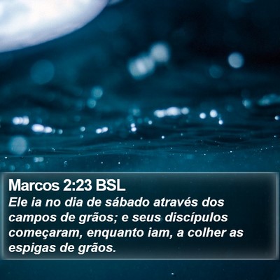 Marcos 2:23 BSL Bible Verse Image