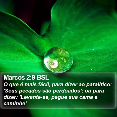 Marcos 2:9 BSL Bible Verse Image