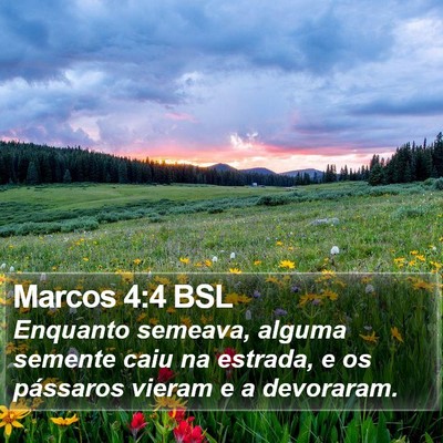 Marcos 4:4 BSL Bible Verse Image