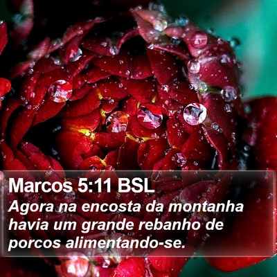 Marcos 5:11 BSL Bible Verse Image