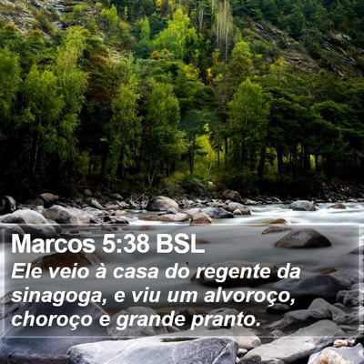 Marcos 5:38 BSL Bible Verse Image